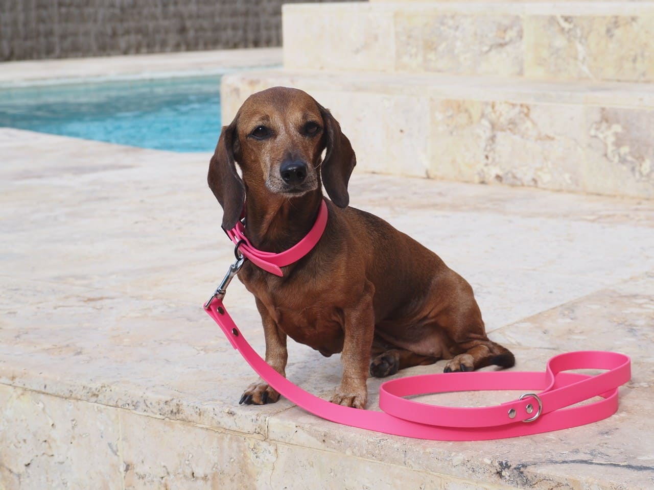 collar y correa biothane rosa